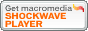 ShockwavePlayer