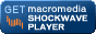 ShockwavePlayer